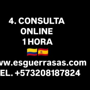 Consulta Online